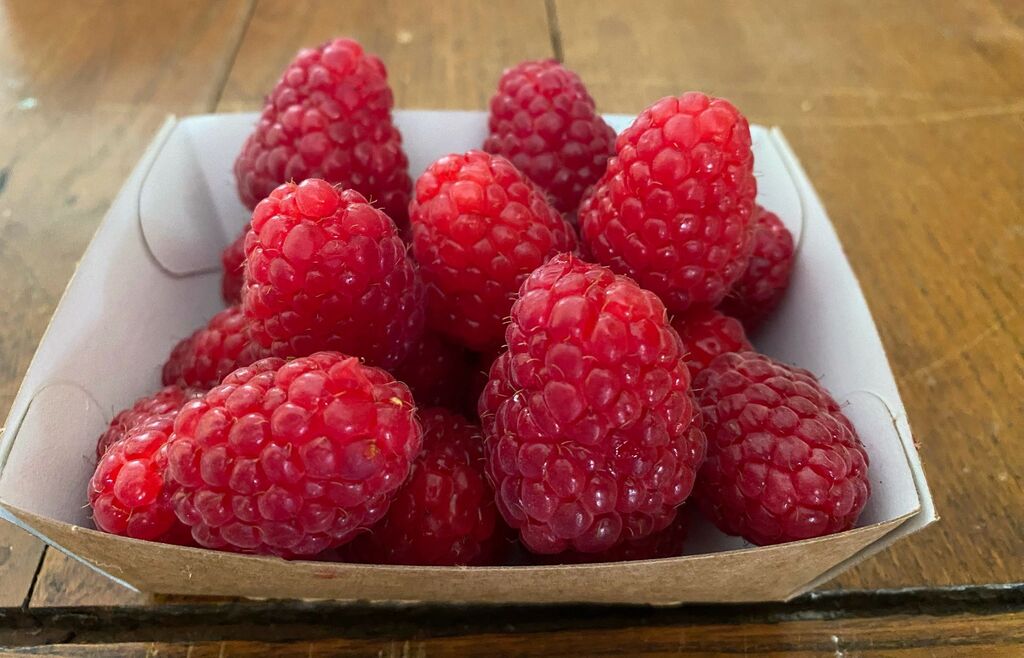 Barquette de Framboises