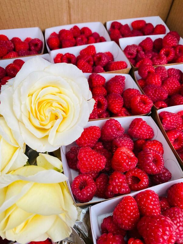 Barquettes de Framboises