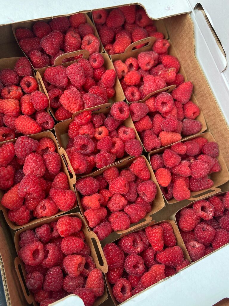 Barquettes de Framboises