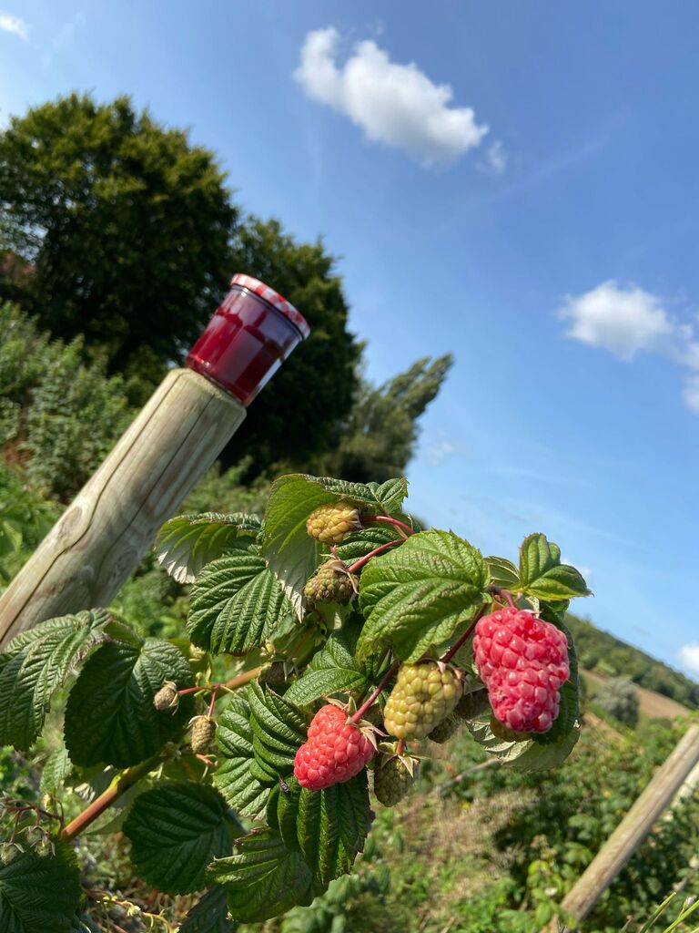 Confiture de Framboises