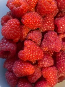 Framboises