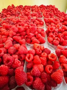 Framboises en Barquettes