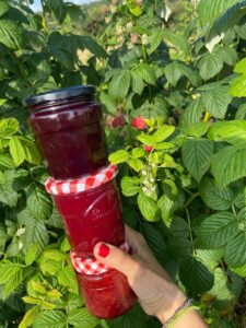Framboises pour Confitures