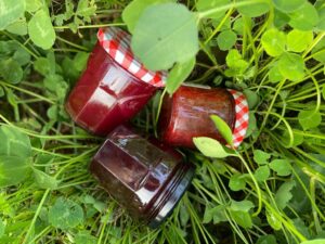Framboises pour Confitures