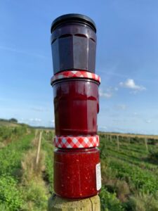 Framboises pour faire des Confitures